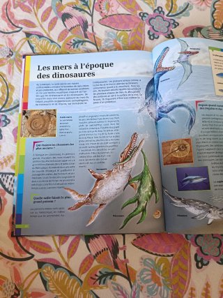 Libro en francés para niño/as. Les dinosaures