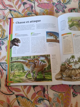 Libro en francés para niño/as. Les dinosaures