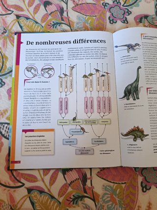 Libro en francés para niño/as. Les dinosaures