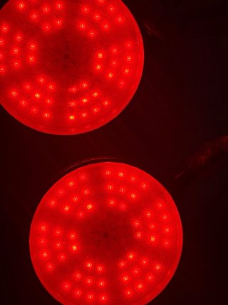 Lámpara LED Cultivo Plantas Control Temporizador