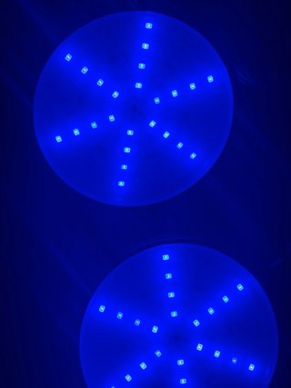 Lámpara LED Cultivo Plantas Control Temporizador