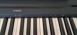 Piano Digital Yamaha P-45 - 88 Teclas