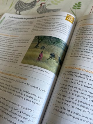 Geografía e historia: Geografía 3.1 GG