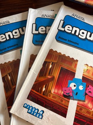 Libros lengua Anaya 6 primaria (123 trimestre)