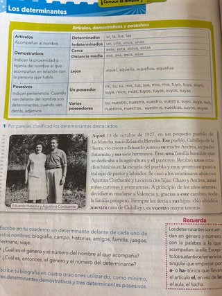 Libros lengua Anaya 6 primaria (123 trimestre)