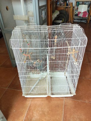 Jaula grande para pájaros