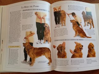 Manual Del Cuidado Del Perro