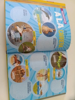 Récords Animales
