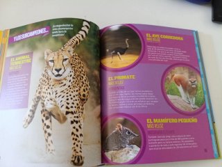 Récords Animales