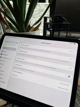 iPad Pro 11 M4 256GB Wi-Fi + Cellular