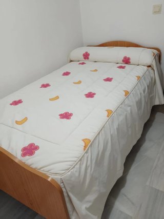 Cama Hospitalaria Articulada 105x190/200