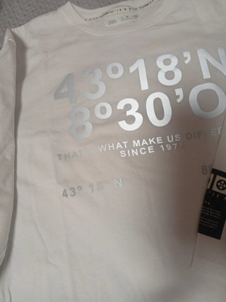 Camiseta Zara Kids 43°18'N 80°30'O