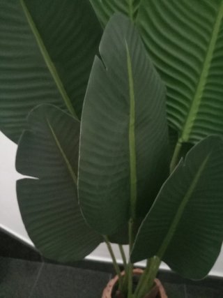 Planta Platanera Artificial Grande