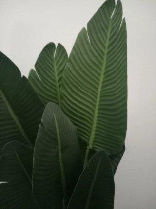 Planta Platanera Artificial Grande