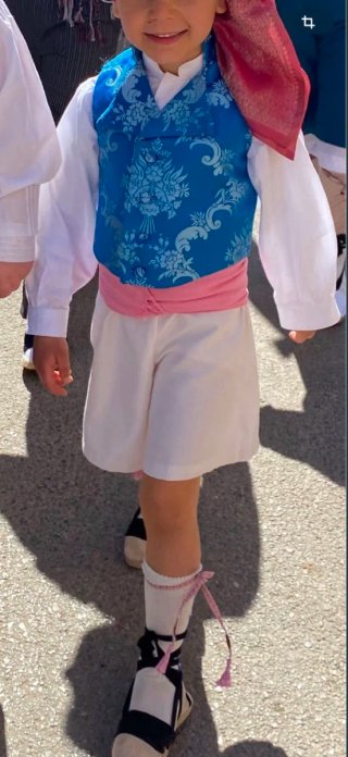 Traje de Fallera Azul y Rosa