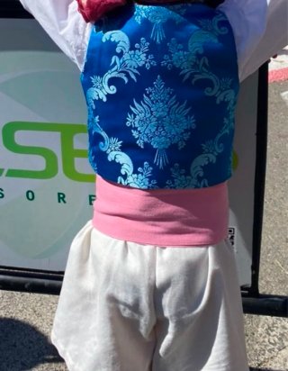 Traje de Fallera Azul y Rosa