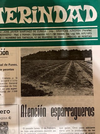 Lote 6 revistas antiguas Merindad