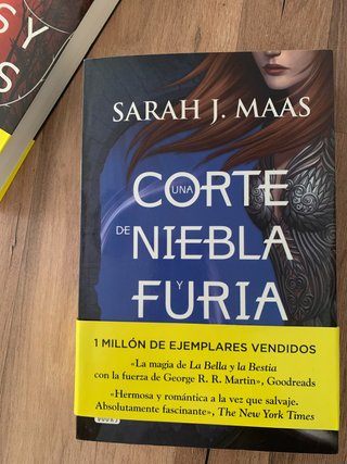 Una Corte de alas y ruina