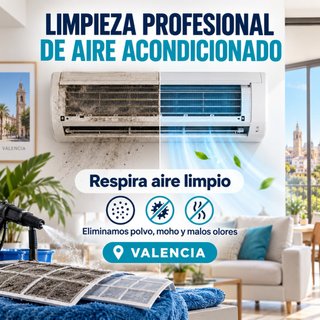 Limpieza profesional de aire acondicionado