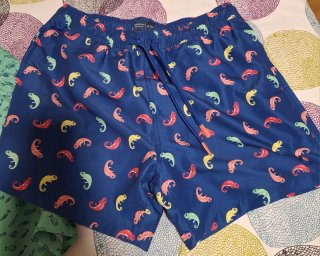 Bañadores estampados (2 unidades)