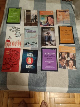 Libros de lectura de la Eso.