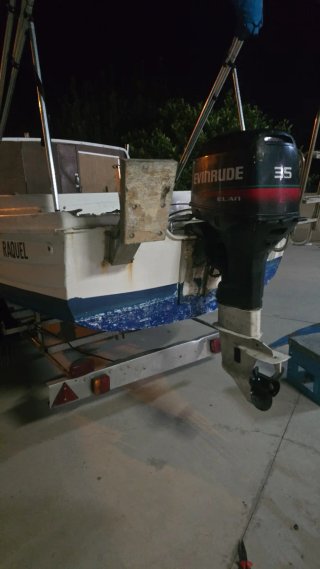 Motor fueraborda