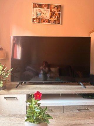 Televisor Samsung 65 Pantalla Rota