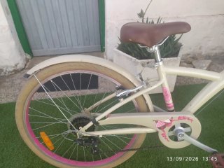 Bicicleta Vintage