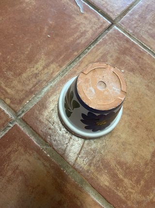 Maceta Barro Esmaltada