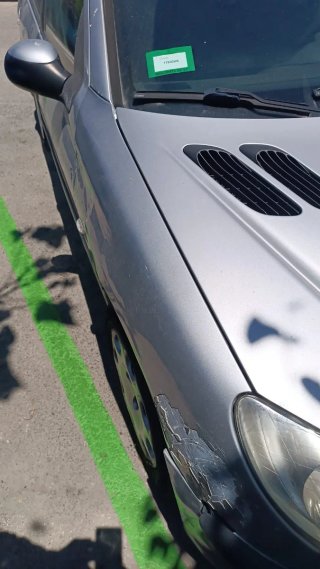Peugeot 207 2006
