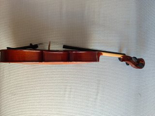Violín Corina 3/4 + arco y estuche