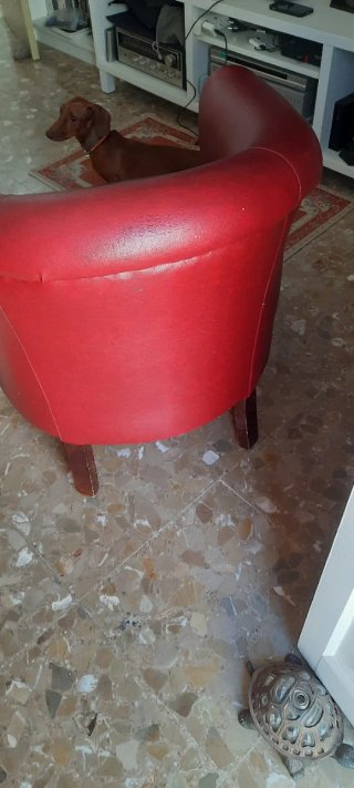 Butaca de piel roja
