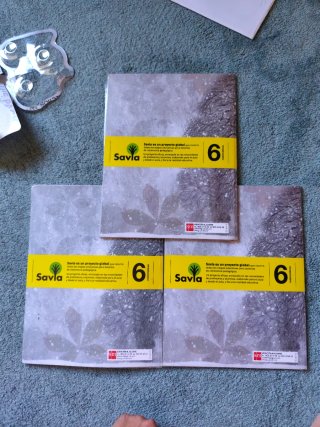 Matemáticas, 6 Primaria Savia