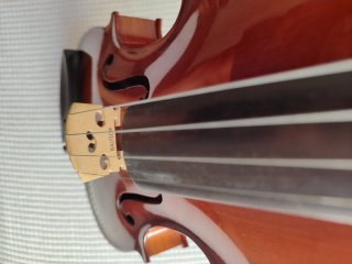 Violín Corina 3/4 + estuche + arco