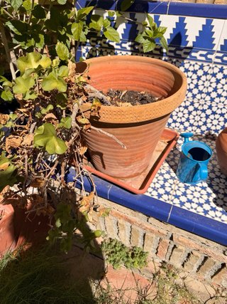 Macetas de barro y cerámica 5€