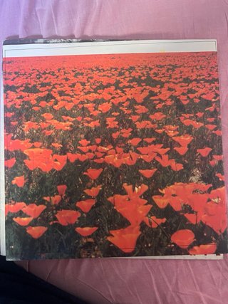 Lp Riccardo Cocciante - Il mare dei papaveri