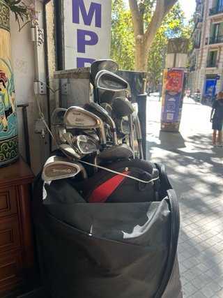 Palos de Golf Wilson Staff FS