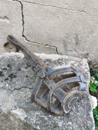 Bozal antiguo para burro