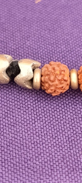 Collar de semillas de Rudraska