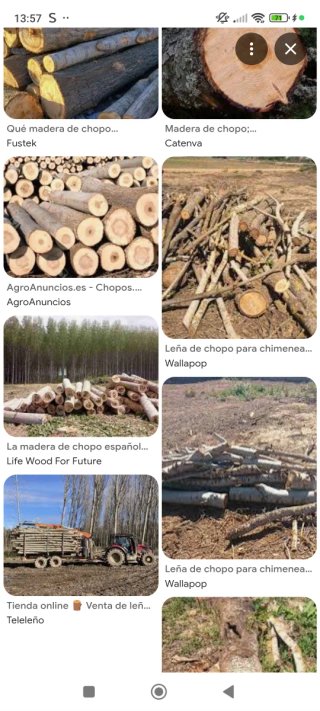 Leña de chopo para estufa 150€ una furgoneta