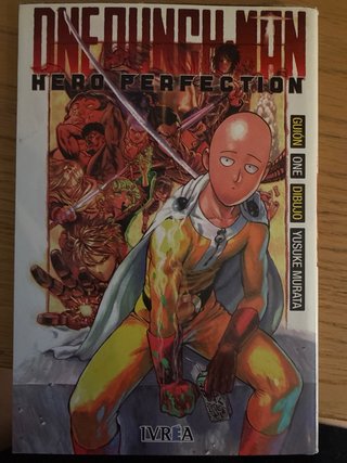 One Punch Man : Hero Perfection