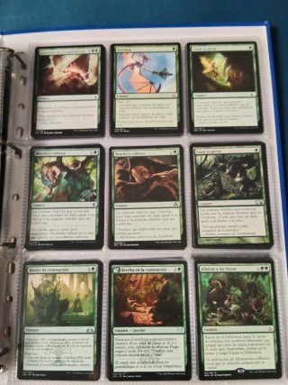 Álbum de cartas Magic The Gathering
