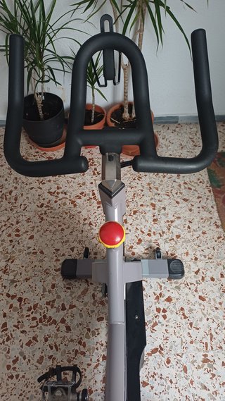Bicicleta de Spinning/Indoor Vision Fitness ES700