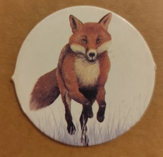 Lote 160 tazos Guía de Campo Las Provincias