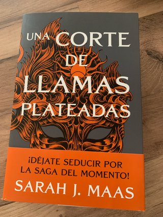 UNA CORTE DE LLAMAS PLATEADAS