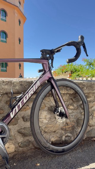 Bicicleta Vitoria Ultimate SK Precio 2000€