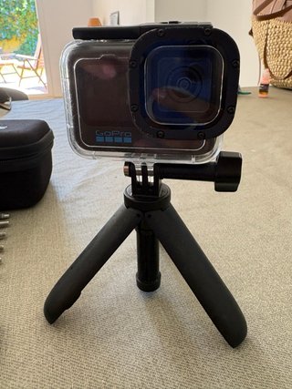 Gopro 10 Black + Estabilizador + 2 focos buceo