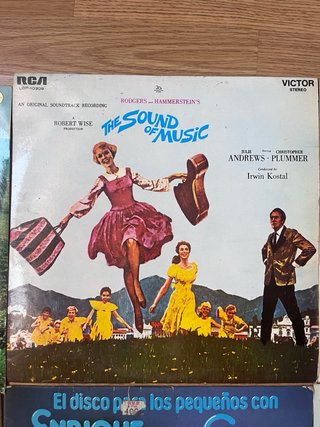 Lote Vinilos Antiguos Varios Artistas