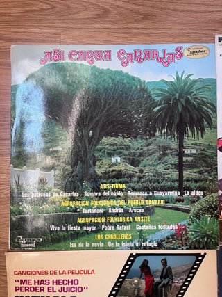Lote Vinilos Antiguos Varios Artistas