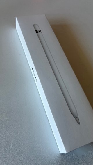 Apple Pencil 1ª Gen
